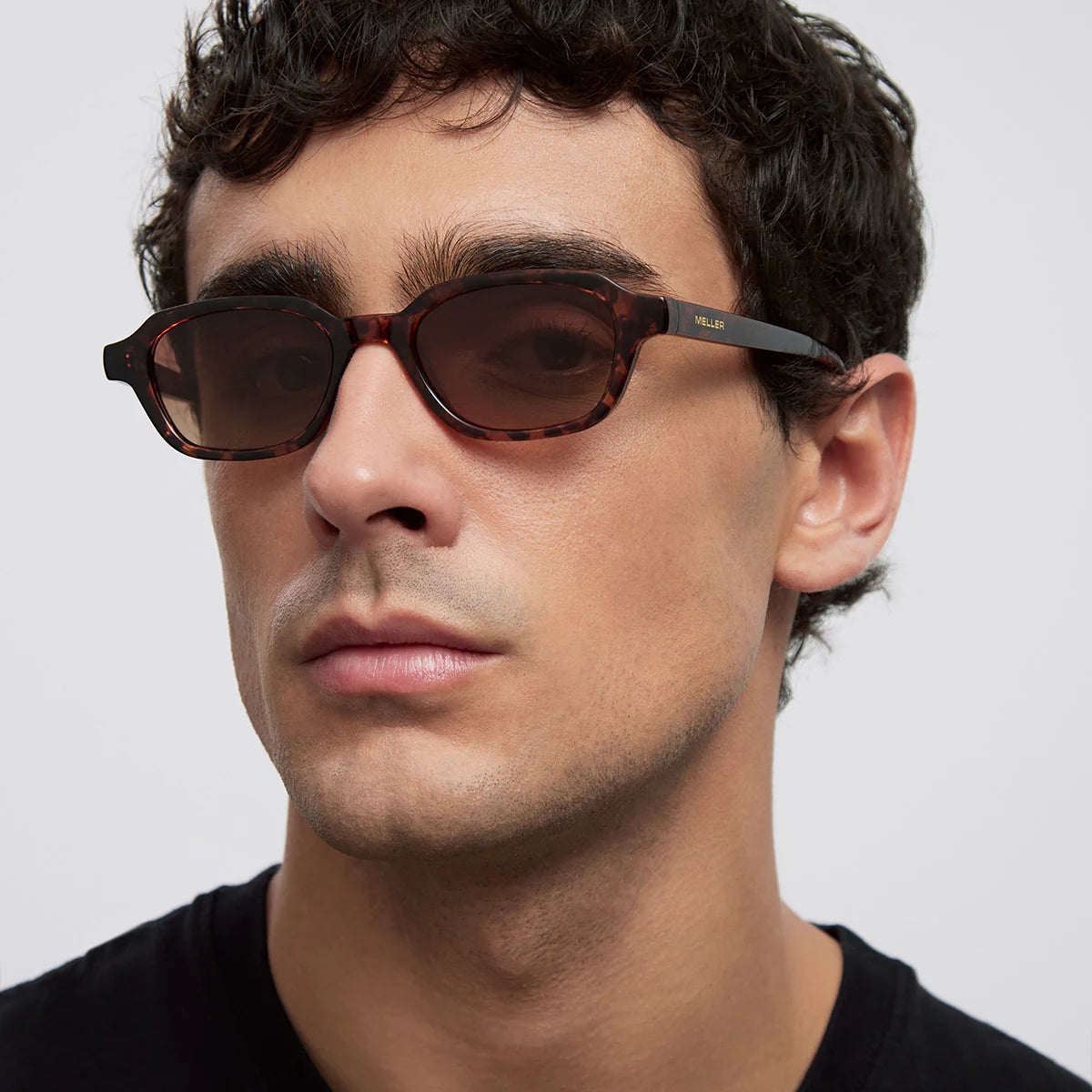 Lentes de Sol – Lani Tigris Brown