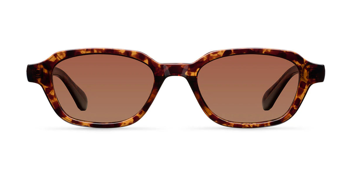 Lentes de Sol – Lani Tigris Brown