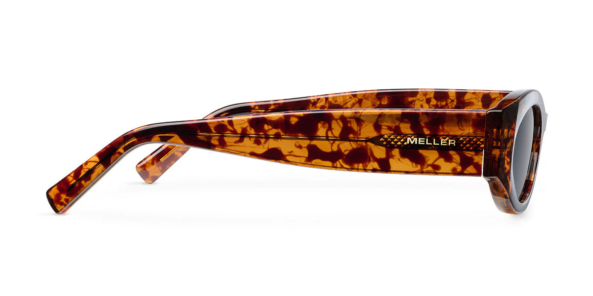 Lentes de Sol - Nemy Tigris Carbon