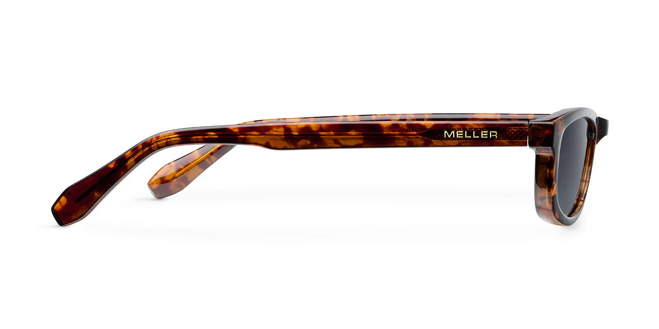 Lentes de Sol - Rami Tigris Carbon