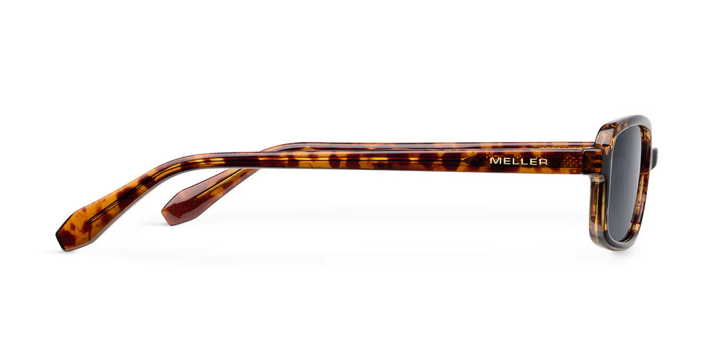 Lentes de Sol - Razi Tigris Carbon