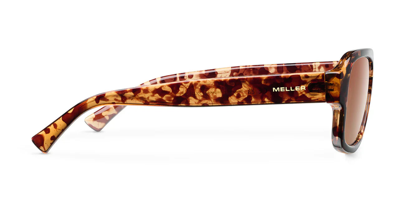 Lentes de Sol - Shipo Tigris Brown