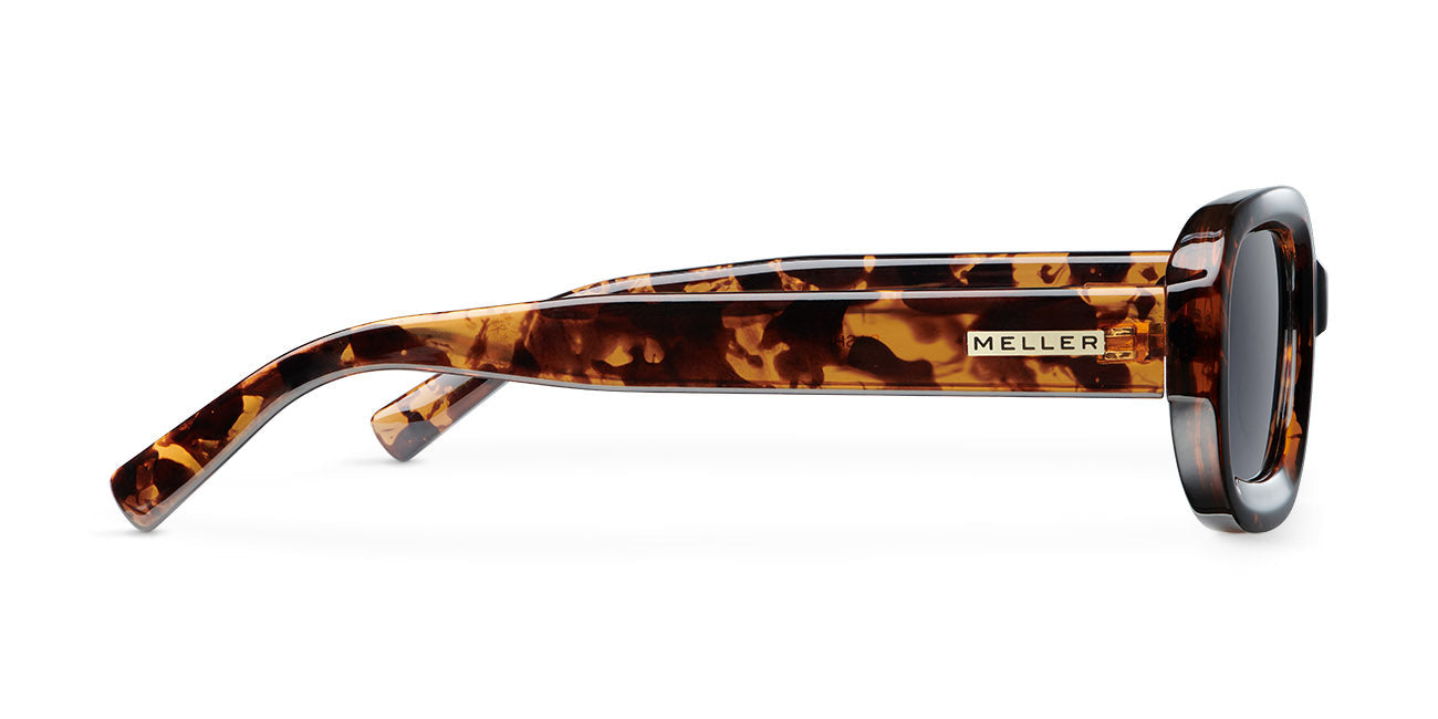 Lentes de Sol - Dashi Tigris Carbon